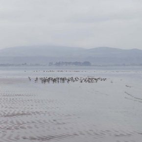 © Clare Keogh © Clare Keogh
